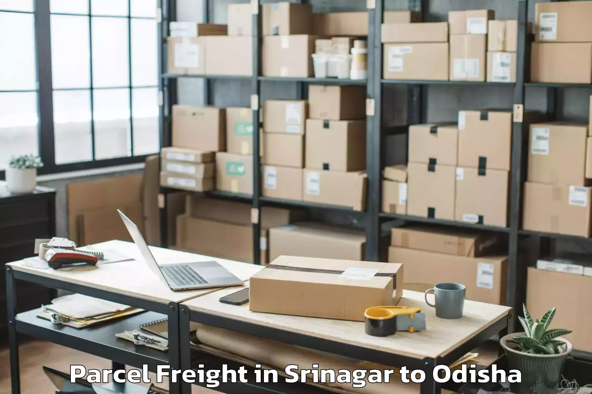 Easy Srinagar to Berhampur Parcel Freight Booking